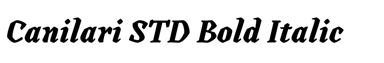 Canilari STD Bold Italic